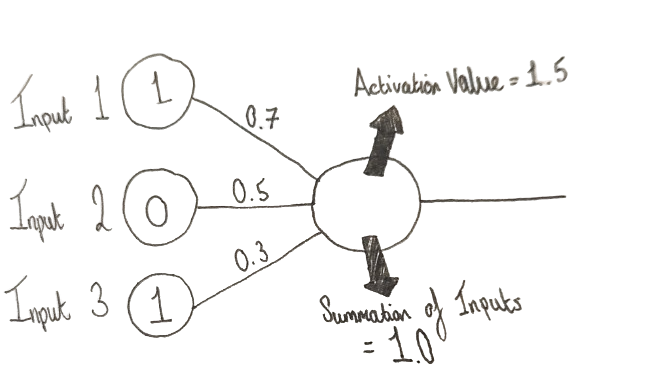 Original Perceptron